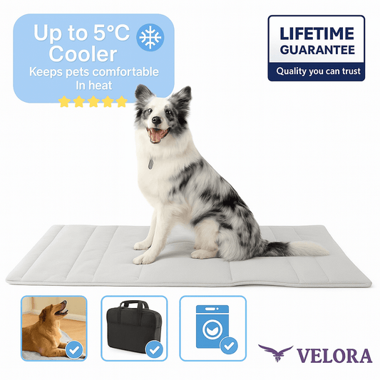 OnVelora Pet Cooling Mat Pro — Self-Cooling Dog Mat
