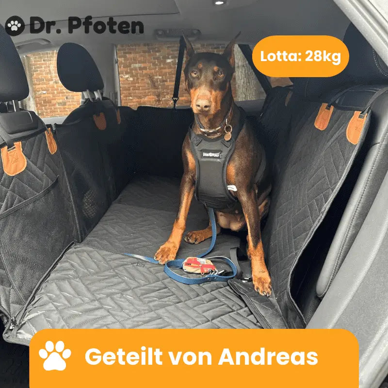 PfotenSchutz™ - Stabiler Autositzbezug