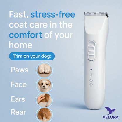 PawCare Plus™ – Pain-Free Paw Grooming in Seconds