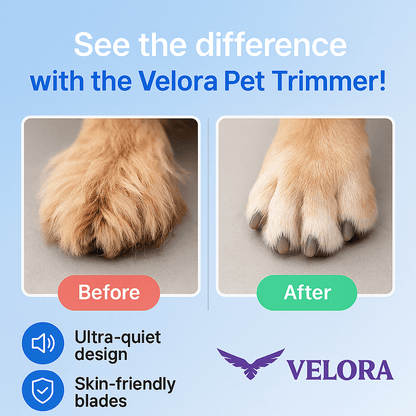 PawCare Plus™ – Pain-Free Paw Grooming in Seconds