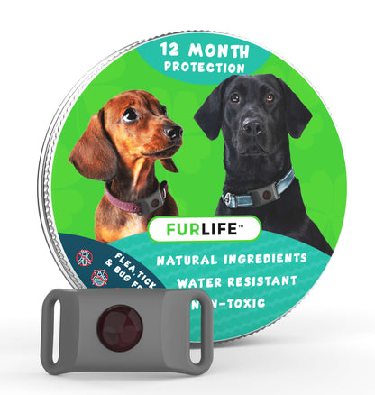 FurLife™ – Long-Lasting Defence Against Fleas & Ticks