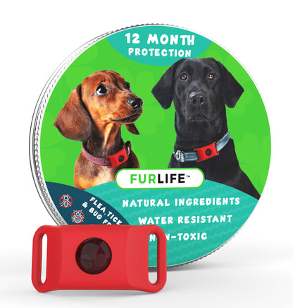 FurLife™ – Long-Lasting Defence Against Fleas & Ticks